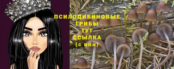 скорость Пролетарск