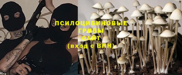 стаф Армянск
