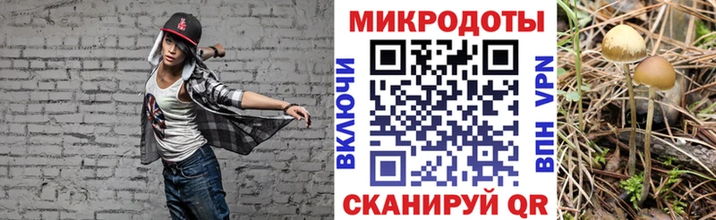 даркнет сайт  Невьянск  ОМГ ОМГ сайт  Галлюциногенные грибы мицелий 